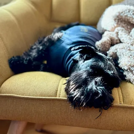 Bei Den Hundertelfen * Limabach - Oberfrohna