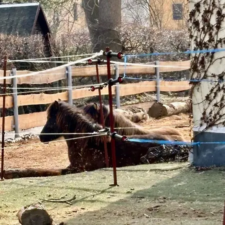 Bei Den Hundertelfen 아파트