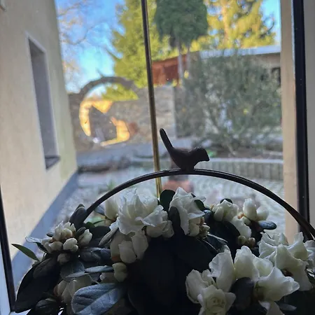 Bei Den Hundertelfen