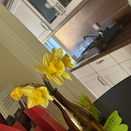 Bei Den Hundertelfen Apartment *