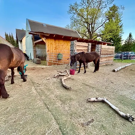 아파트 Bei Den Hundertelfen *